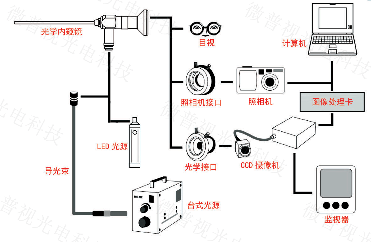 电子内窥镜结构图片