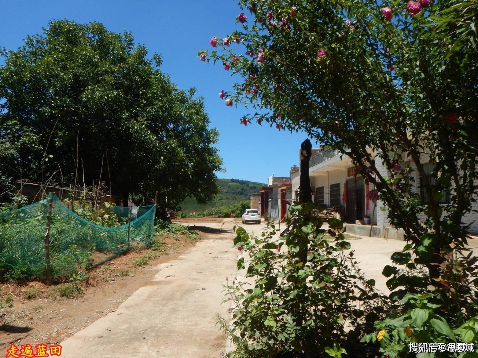 走遍藍田,2022厚鎮(江流溝村)穿越旅行(2)._路口_叔叔_花椒