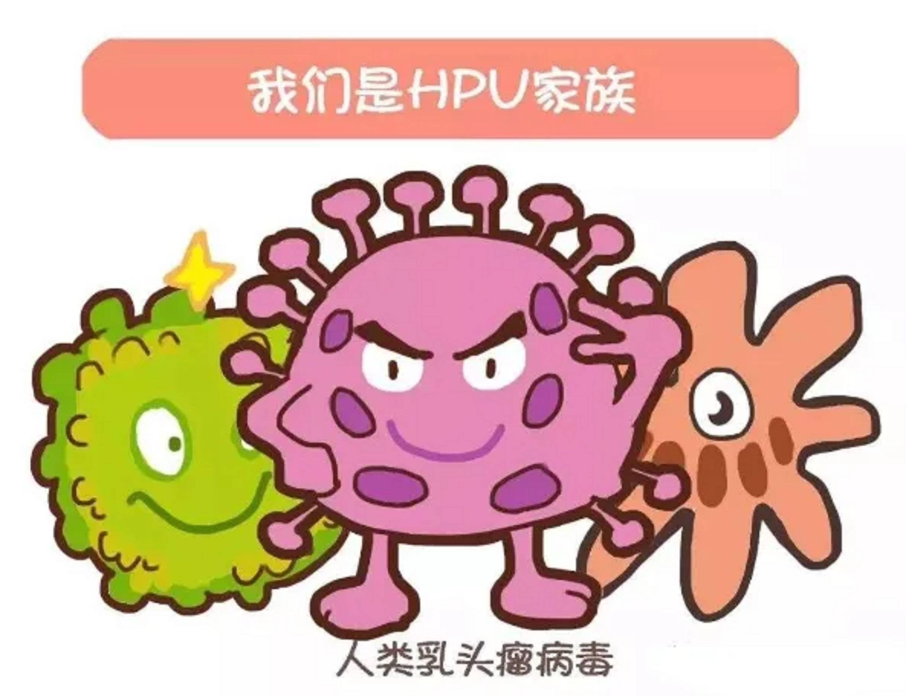 hpv传染性强吗 来自搜狐网
