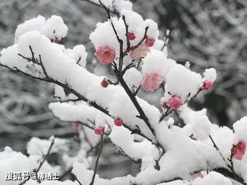 【古詩詞鑑賞】唐代詩人王維《冬晚對雪憶胡居士家》詩賞析_雪景_滿山