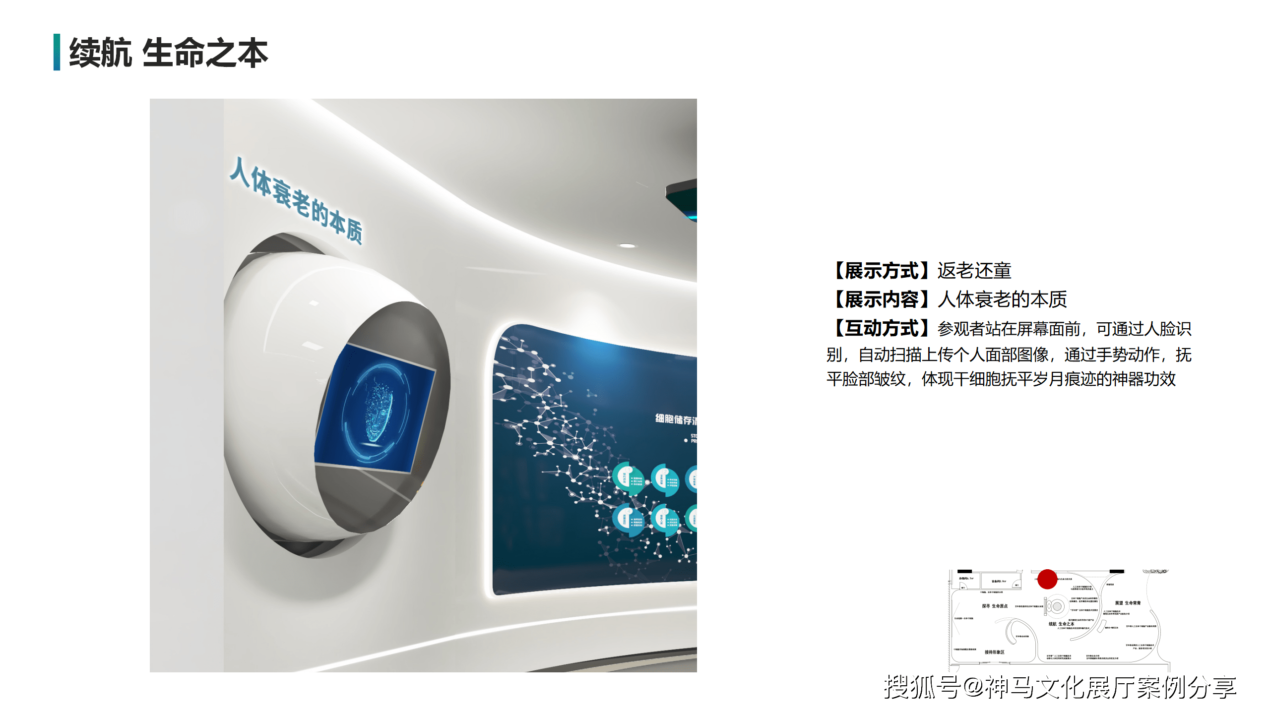 幹細胞展廳 | 開啟生命科學的新篇章_領域_技術_發展