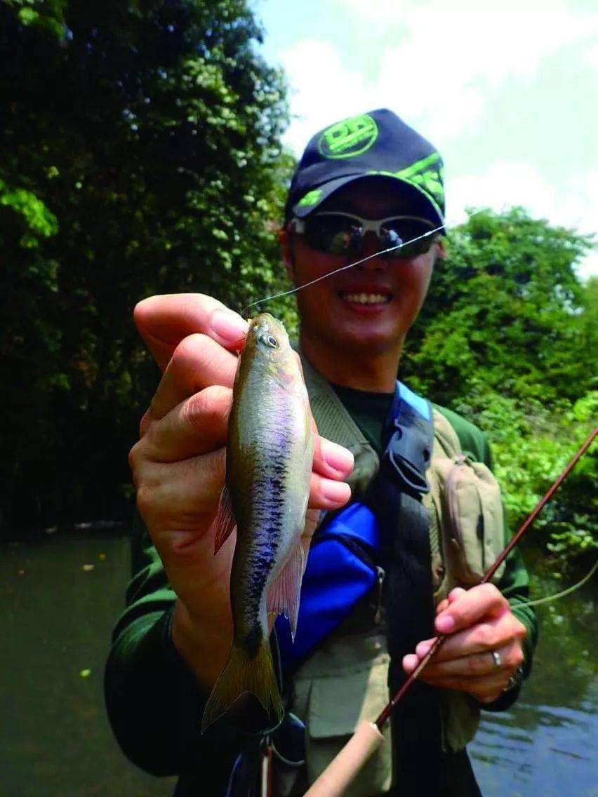 这样的小鱼也会带给我无限的乐趣,这就是飞钓的魅力所在/未完待续