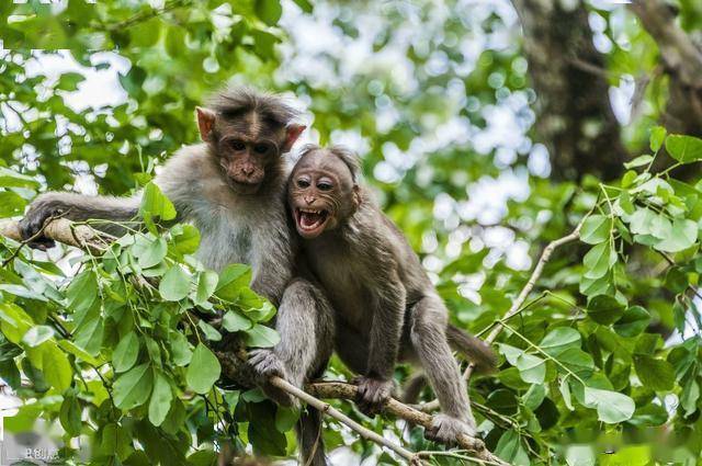 你的干涉是外因,命运掌握在我自己手里_小椿树