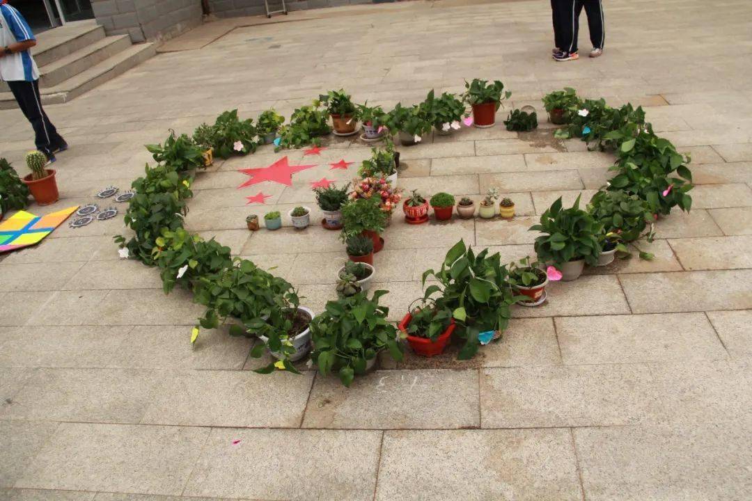 校园里惊现了一座座小花坛红的绿的笑开了花