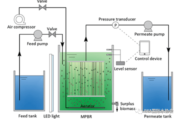 膜式光生物反应器mpbr基于微藻养殖的污水处理技术