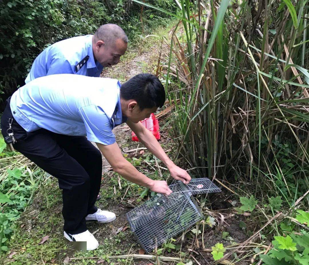 2人在上犹抓竹鼠被抓