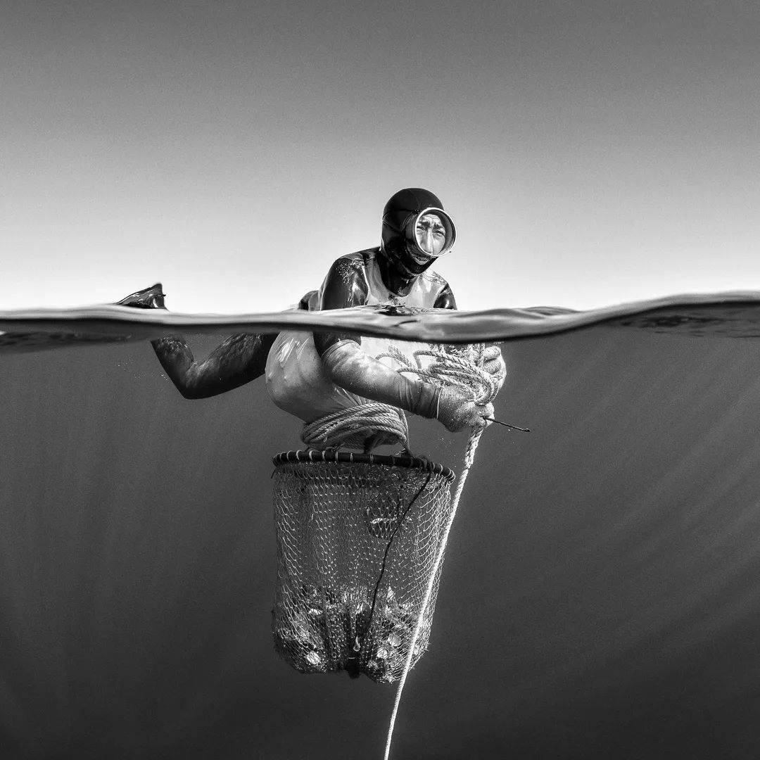 受天气和潮汐条件影响,海女每天潜水 6至 8小时,每