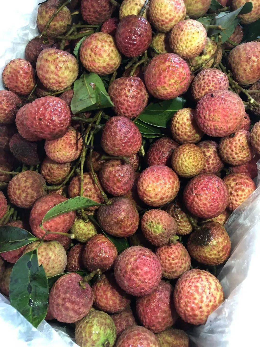 团购广西鲜荔枝妃子笑,现杀清真牛肉/羊肉,更多好货看过来