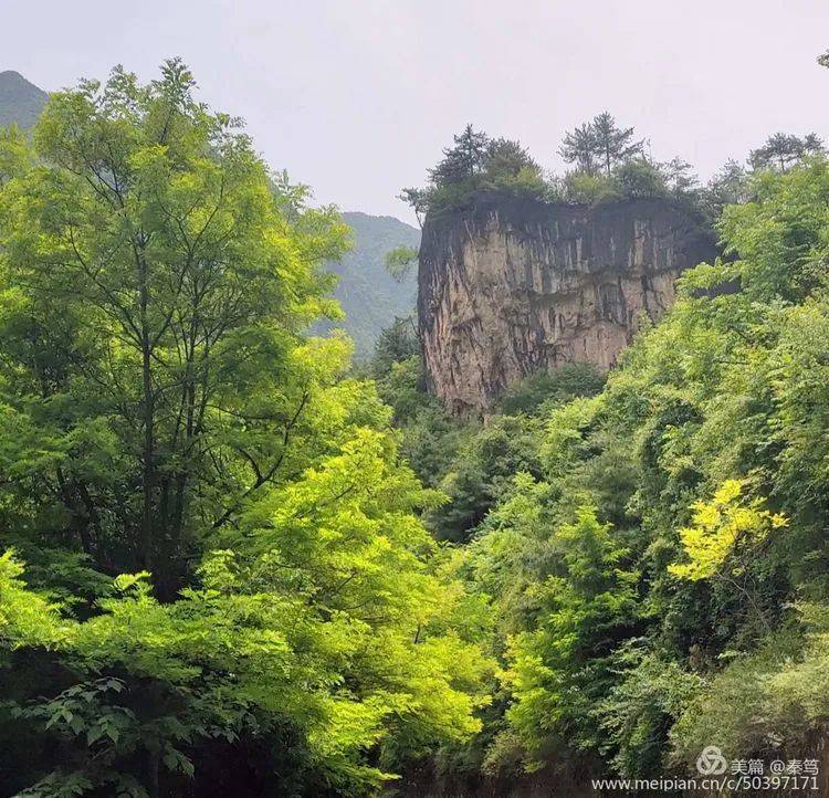 趁阳光正好,武都姚寨沟约起来!_风景区