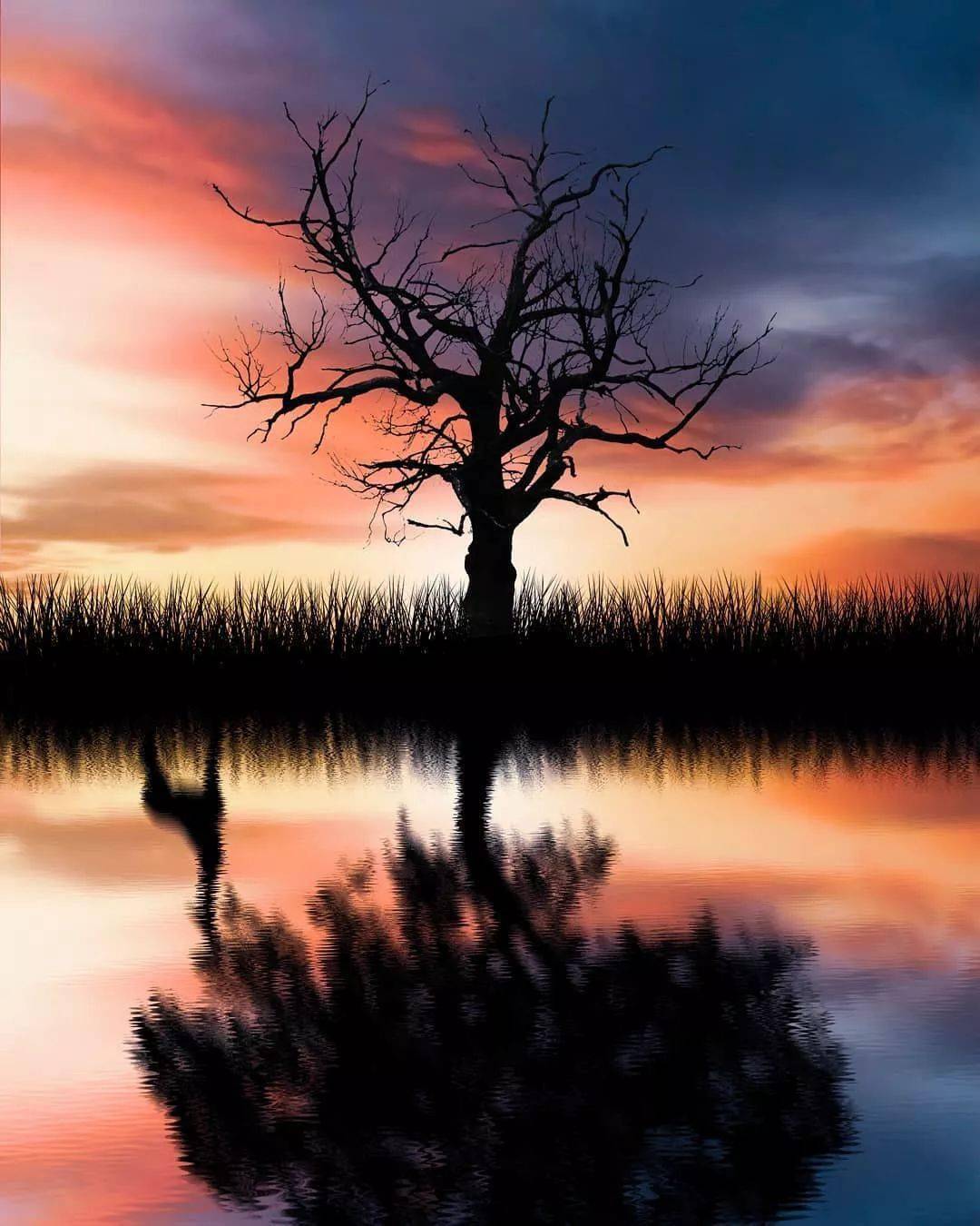 模糊现实与虚构之间的界限只需要一个ps