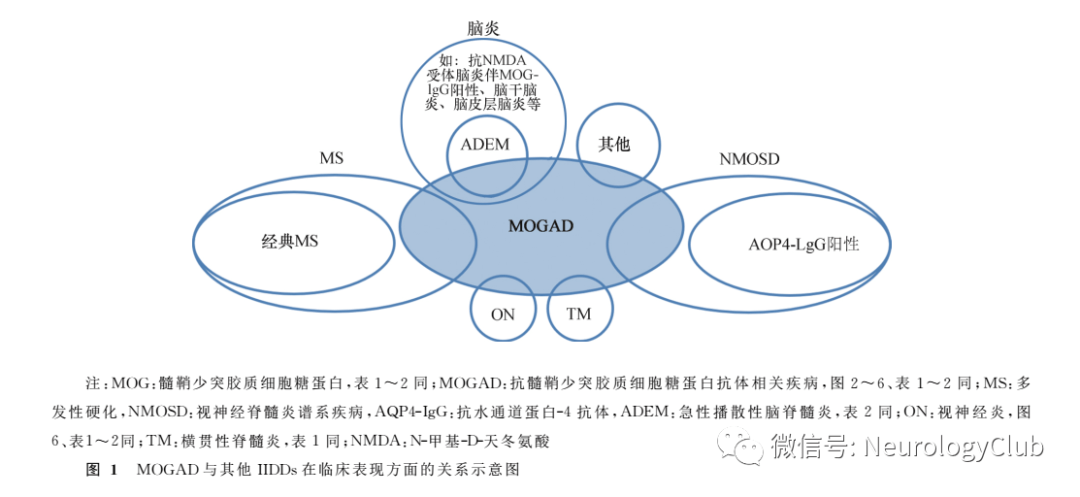 神經指南:抗髓鞘少突膠質細胞糖蛋白免疫球蛋白g抗體相關疾病診斷和