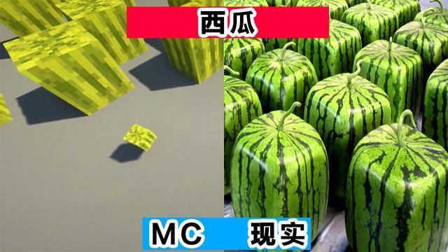 《我的世界》和现实图片对比 结果竟如此相似 真实度高达90%_西瓜