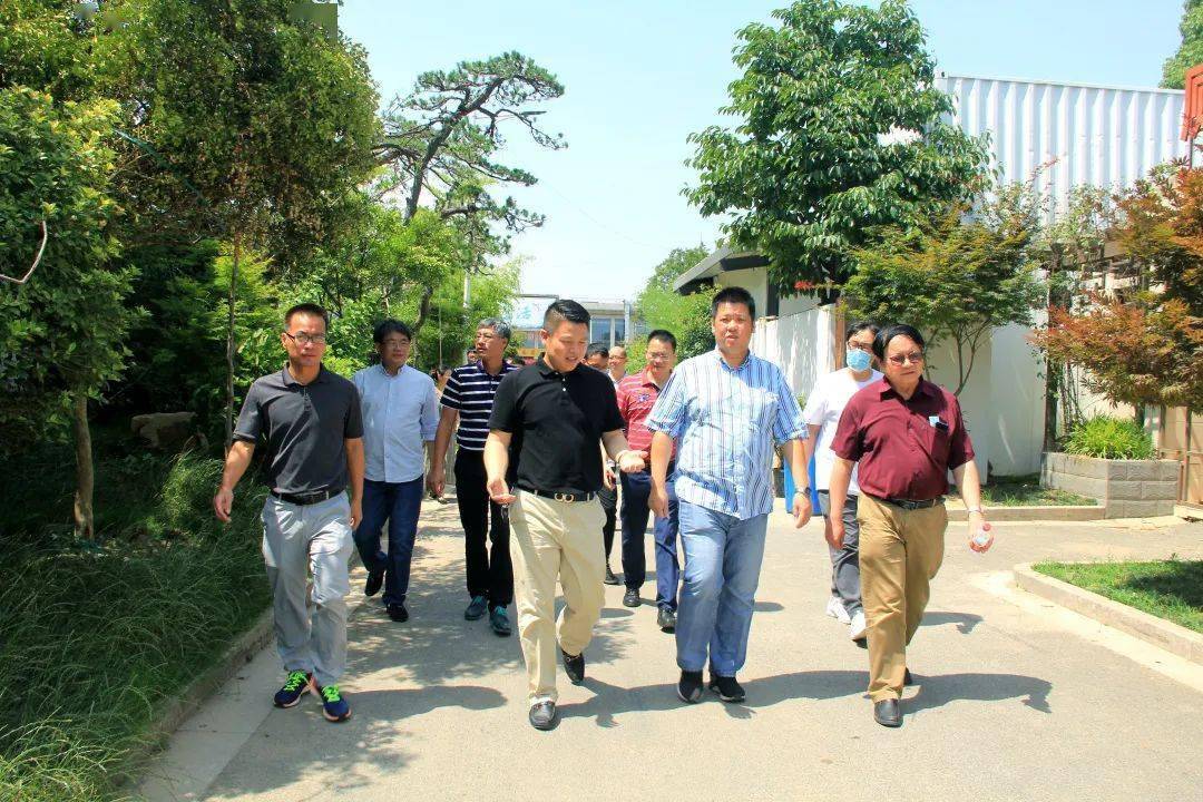 中山市农业农村局领导一行前来参观调研夏溪花木市场_手机搜狐网