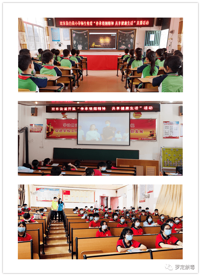 素龙街道龙湾镇加益镇分界镇31塘镇苹塘镇各中小学校来源 | 罗定