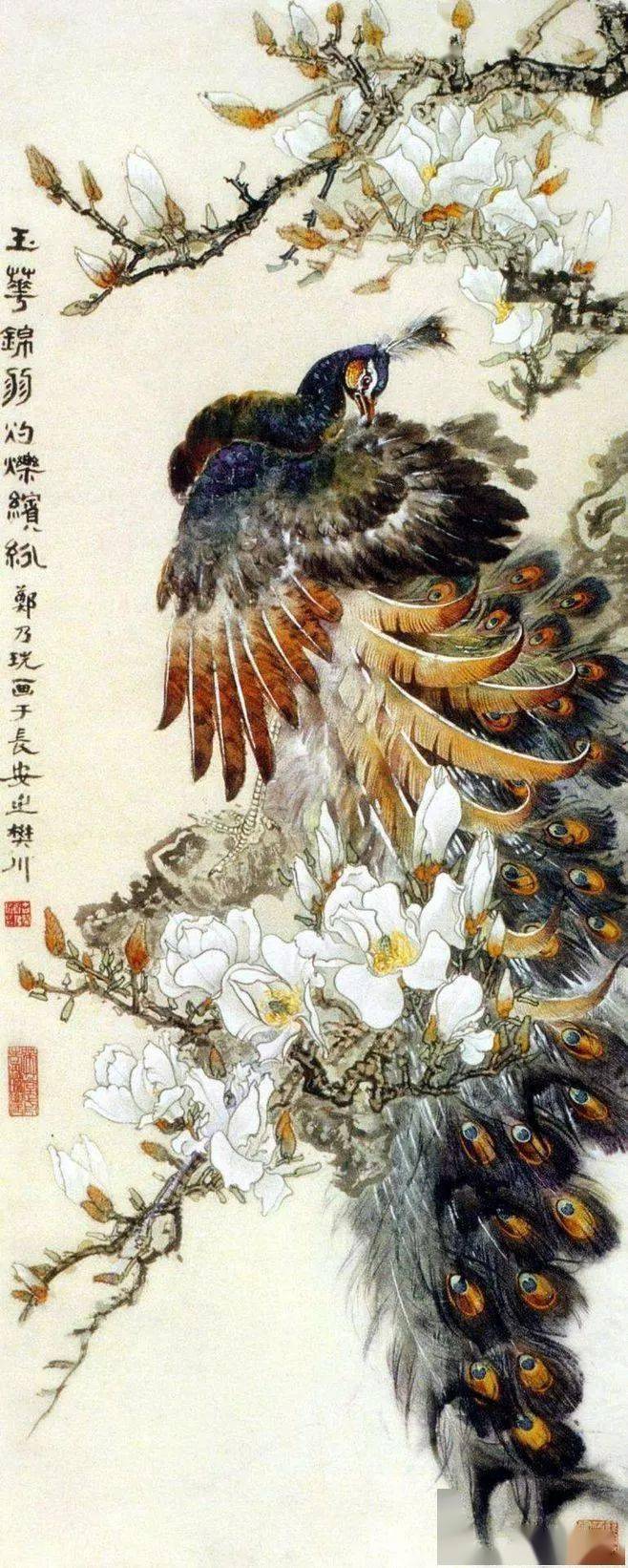 名家画孔雀各领风骚美呆了