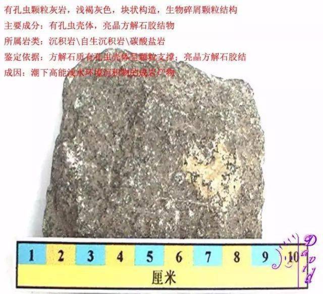 柱石黑云母片岩刚玉黑云钾长矽线石片麻岩含黑硬绿泥石角岩黑云二长