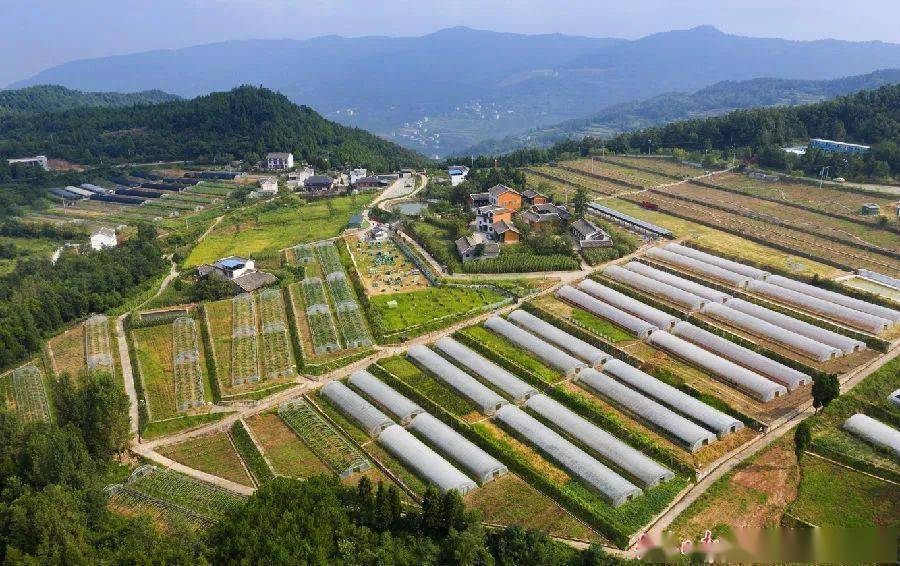 宝轮镇梨树村富乐湾水库下30多道梯田层层叠叠,碧绿的荷叶舒展在水面