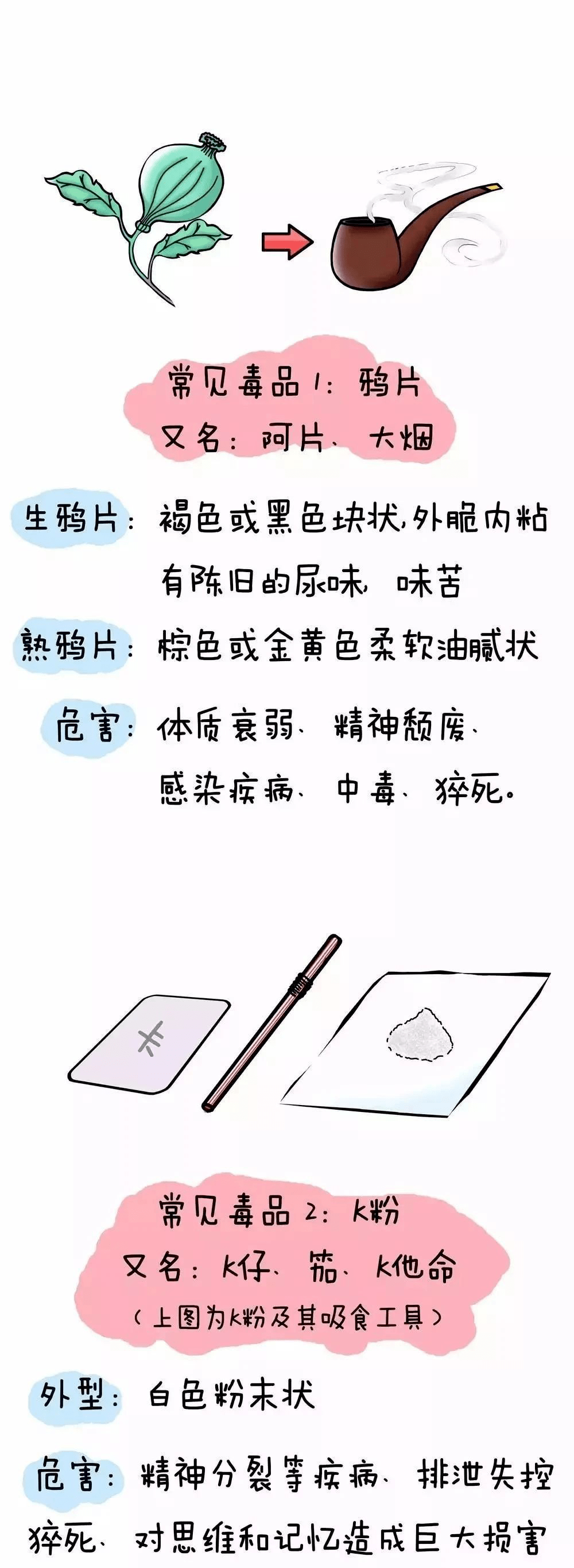 安全教育|拒绝毒品,功在当代,利在千秋—禁毒教育知识宣传