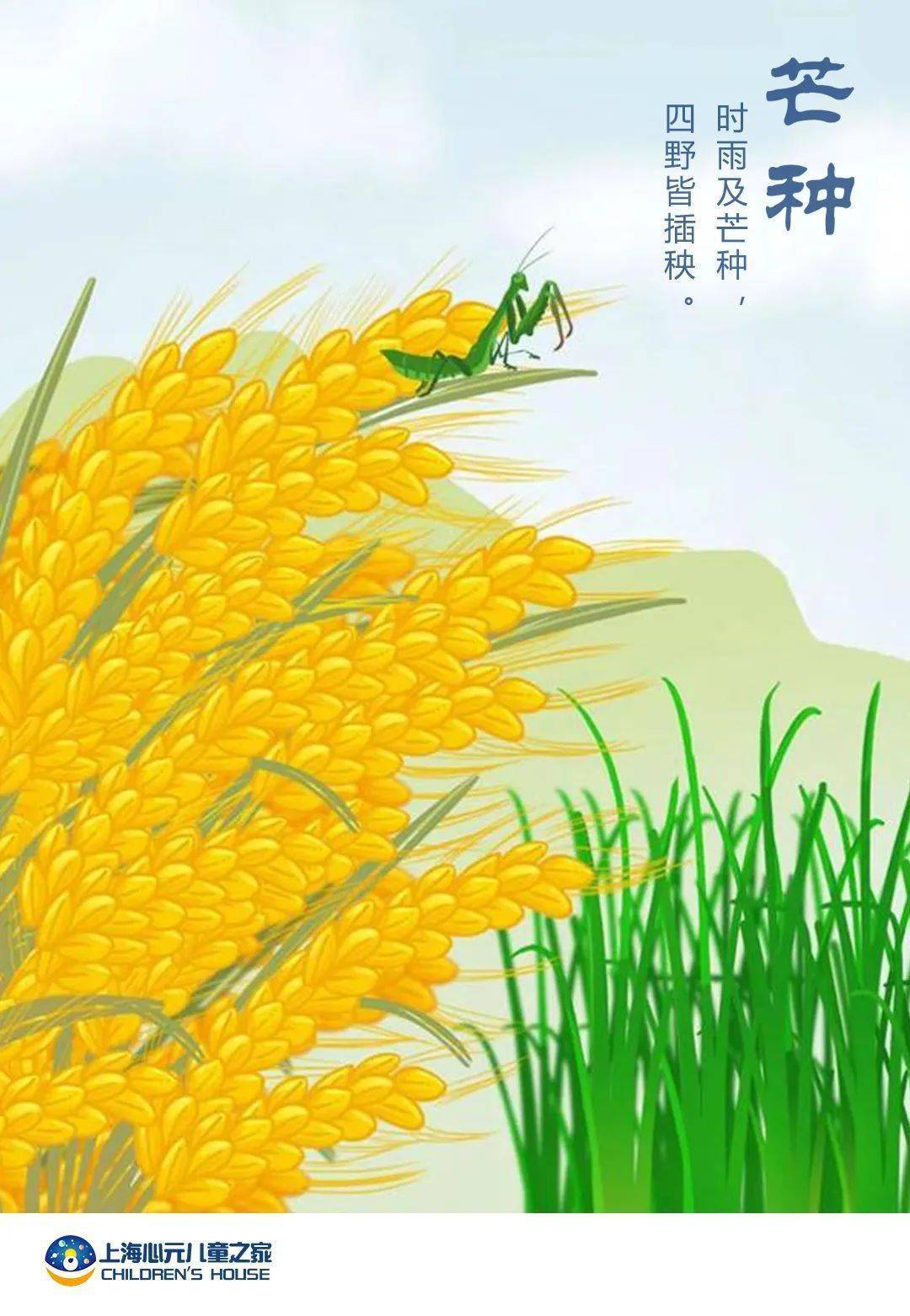 【二十四节气 芒种 】播种理想,收获成长