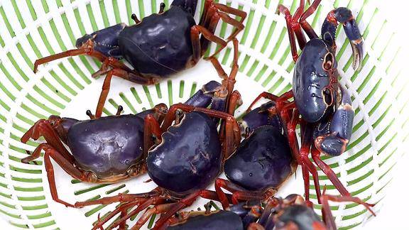 山螃蟹原汁原味的做法味道可美了