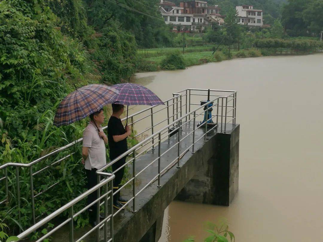 陈彬先后冒雨查看了芦村镇双江村,上团水库等地,详细了解芦村镇防汛