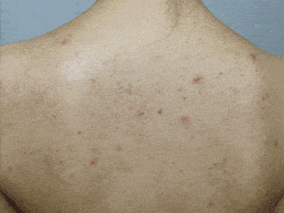 400_300gif 动态图 动图