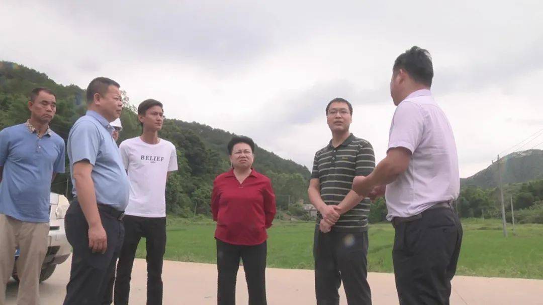 藤县这条二级路已完成征地约9.5公里._同心镇