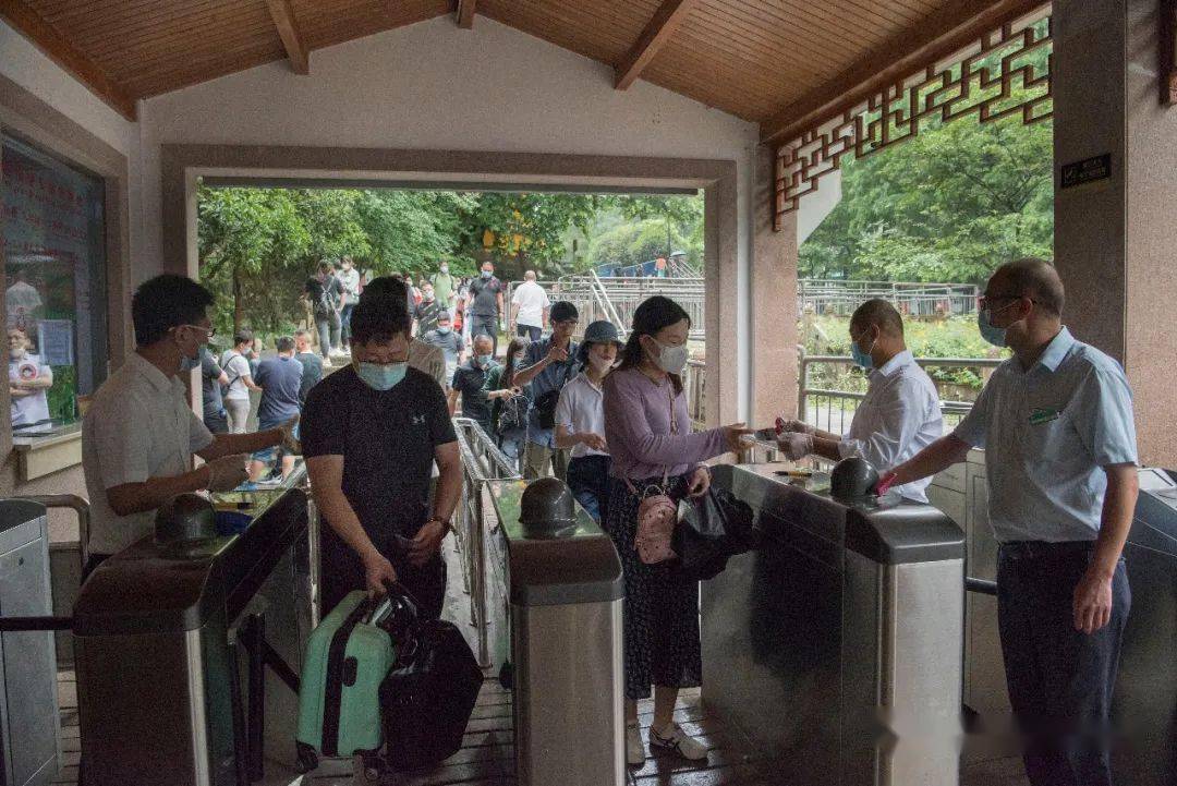 熟悉的九华山,回来了!_游客