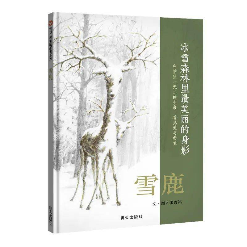 云游出版社第12集信谊图画书守护孩子唯一的童年