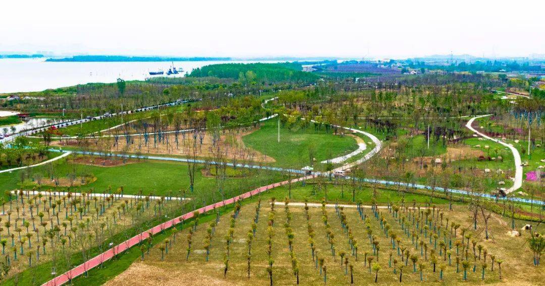 了长江森林带,修复长江岸线生态环境,打造"临江,近江,见江"景观绿地