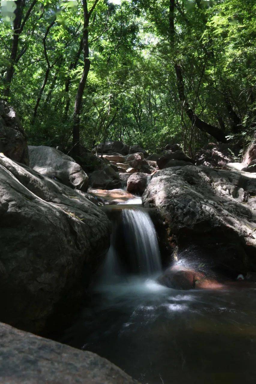 新密人有福啦1小时车程6月份免费游大熊山快来感受夏日清凉