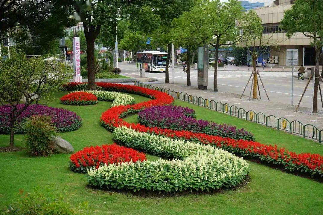 district新城公园新城公园马尼拉大草坪西南角花坛以祥云为主题图案