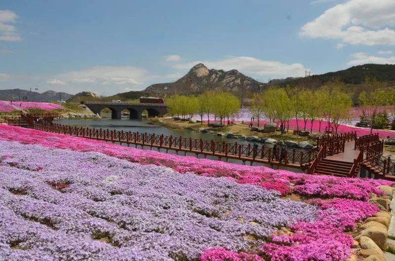 清泉溪流,石頭建築特色,結合紅色,道教等優秀傳統文化,重點在梧桐庵