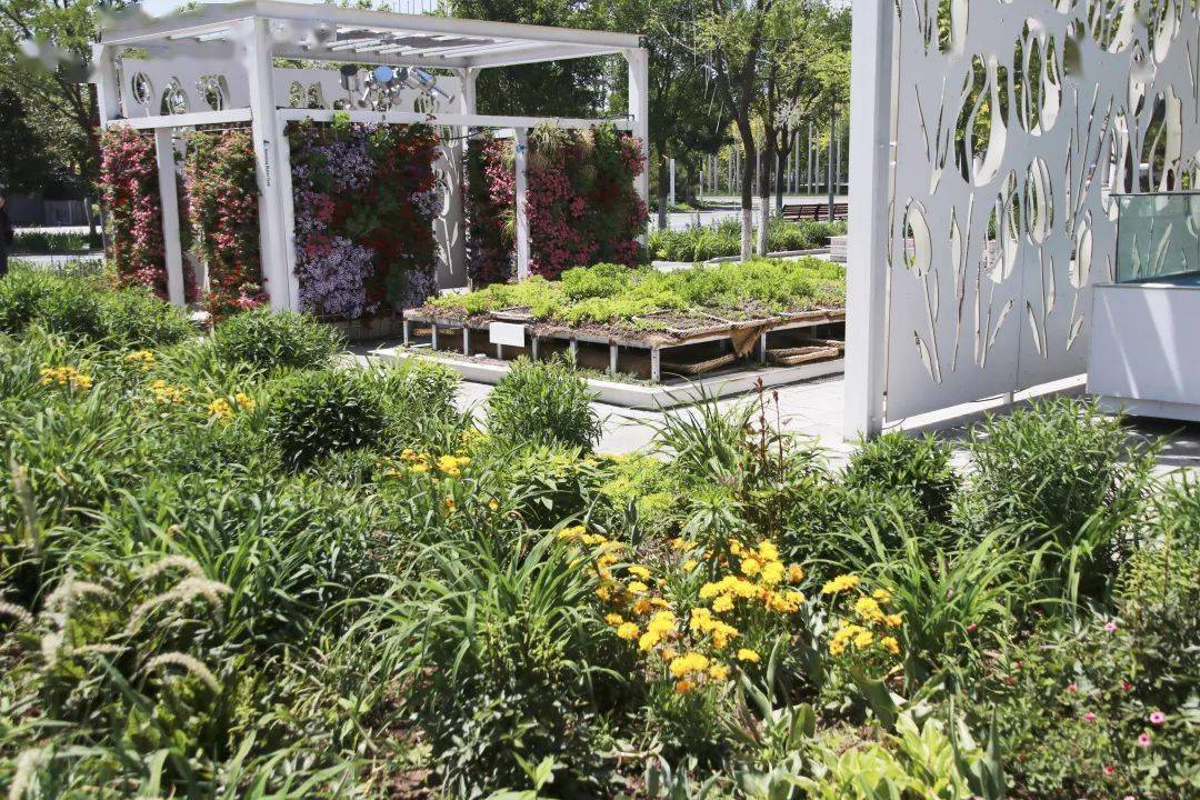 专家带你游世园丨首届北京国际花园节大学生花园花境设计竞赛落地方案