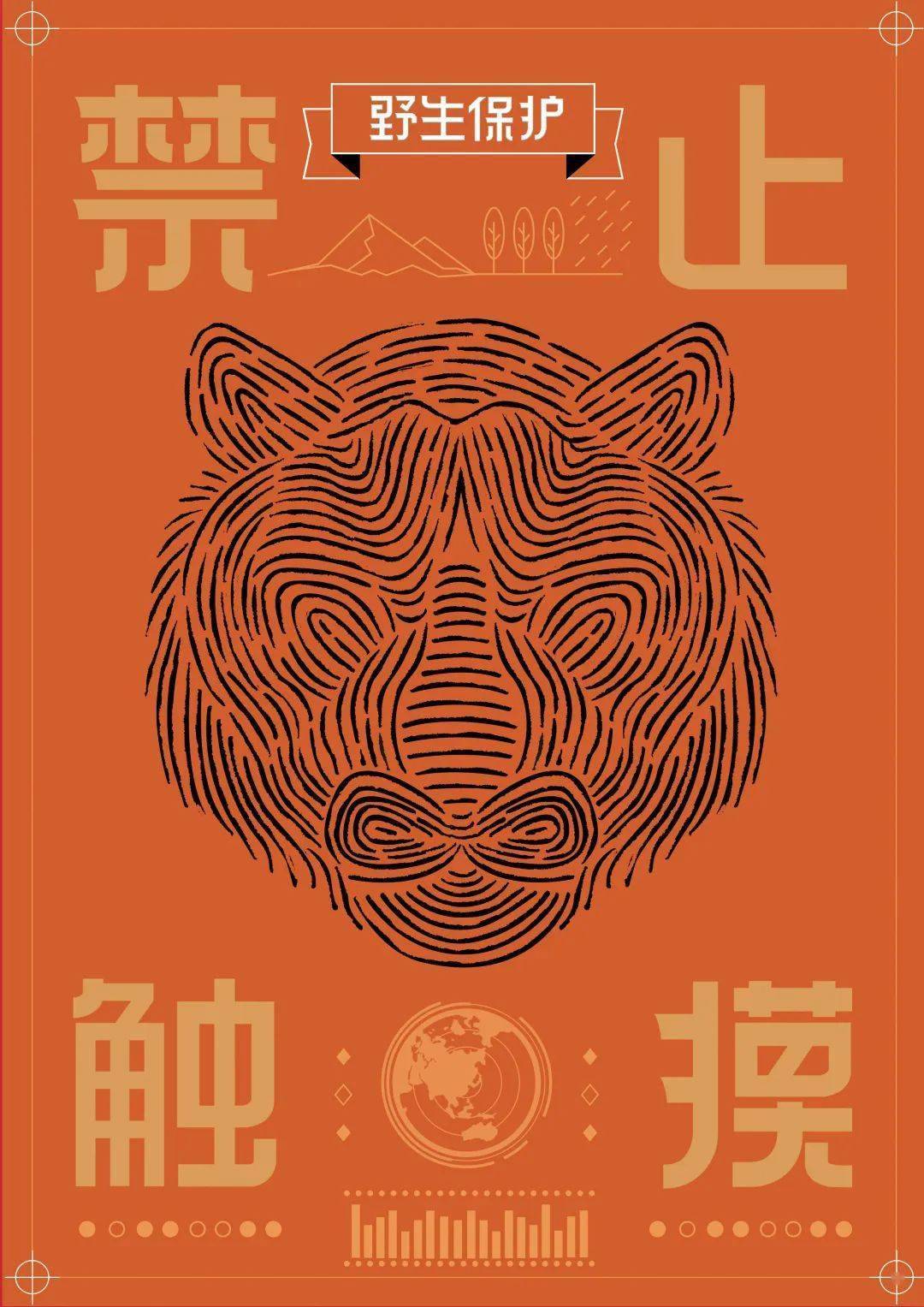 设计毕业展天津美术学院视觉传达设计系毕业生优秀作品展