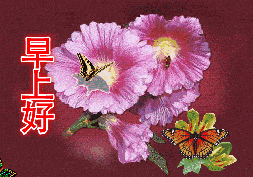 5,一年之计在于春,一天之计在于晨,所有的美好从清晨开始,希望你携带