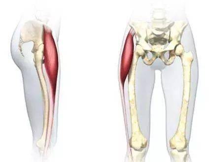 常被忽视的髂胫束很重要!