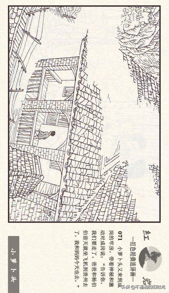 红岩之七小萝卜头河北美术出版社2011施肇祖周琳绘