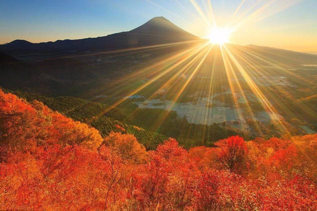 心宽似海温暖向阳