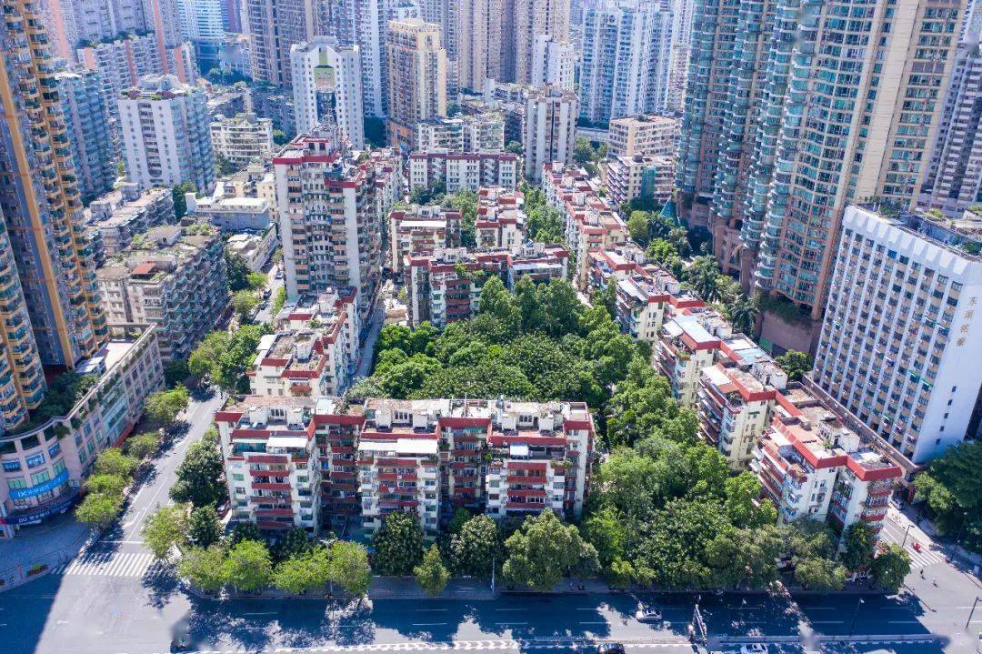《民法典》通过后,我去了全国第一个商品房小区_东湖新村