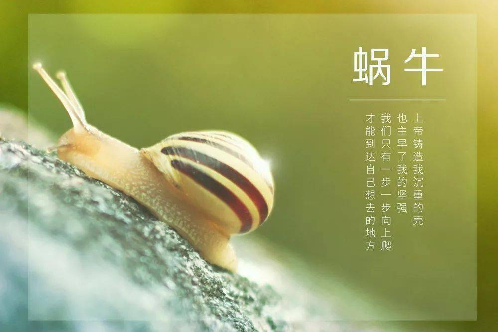 朋友圈早安激励语2020清晨发朋友圈励志的图片