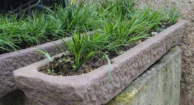 赶紧把家里墙角旮旯的石槽搬出来吧!石槽这样整,美爆整个院子