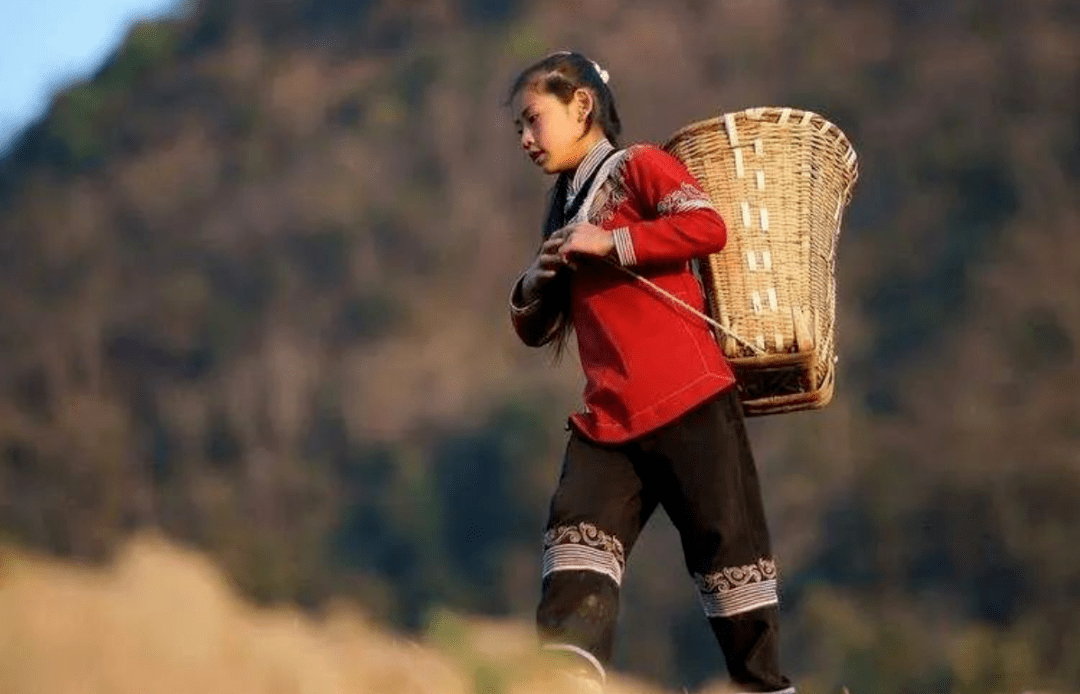 0打脸,雪梨喜提湖畔offer!寒门还能出贵子吗