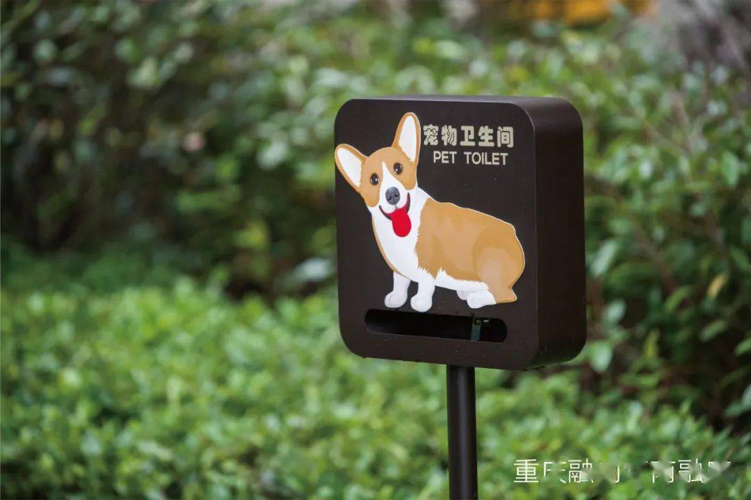 归心时光记让宠物都心动的归心社区你爱了吗