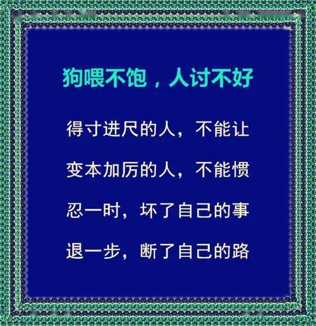 是人不要学狗是狗不要装人说得太对了