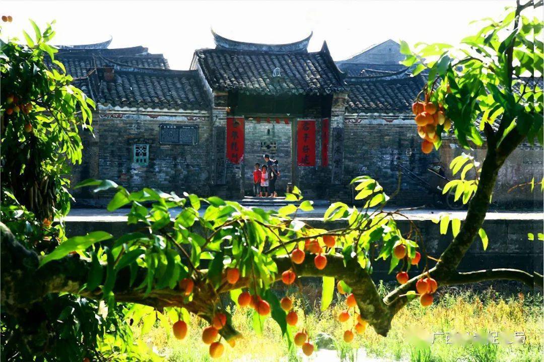 梦回明朝!北依逶迤见往昔,南临浩瀚有新篇——岭南古建筑群钦州大芦村