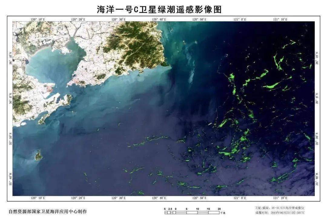 海洋一号卫星看浒苔越来越清晰了_青岛