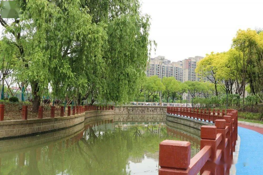 实地探访22公里滨河新地标嘉定新增家门口的休闲好去处无敌夜景将上线