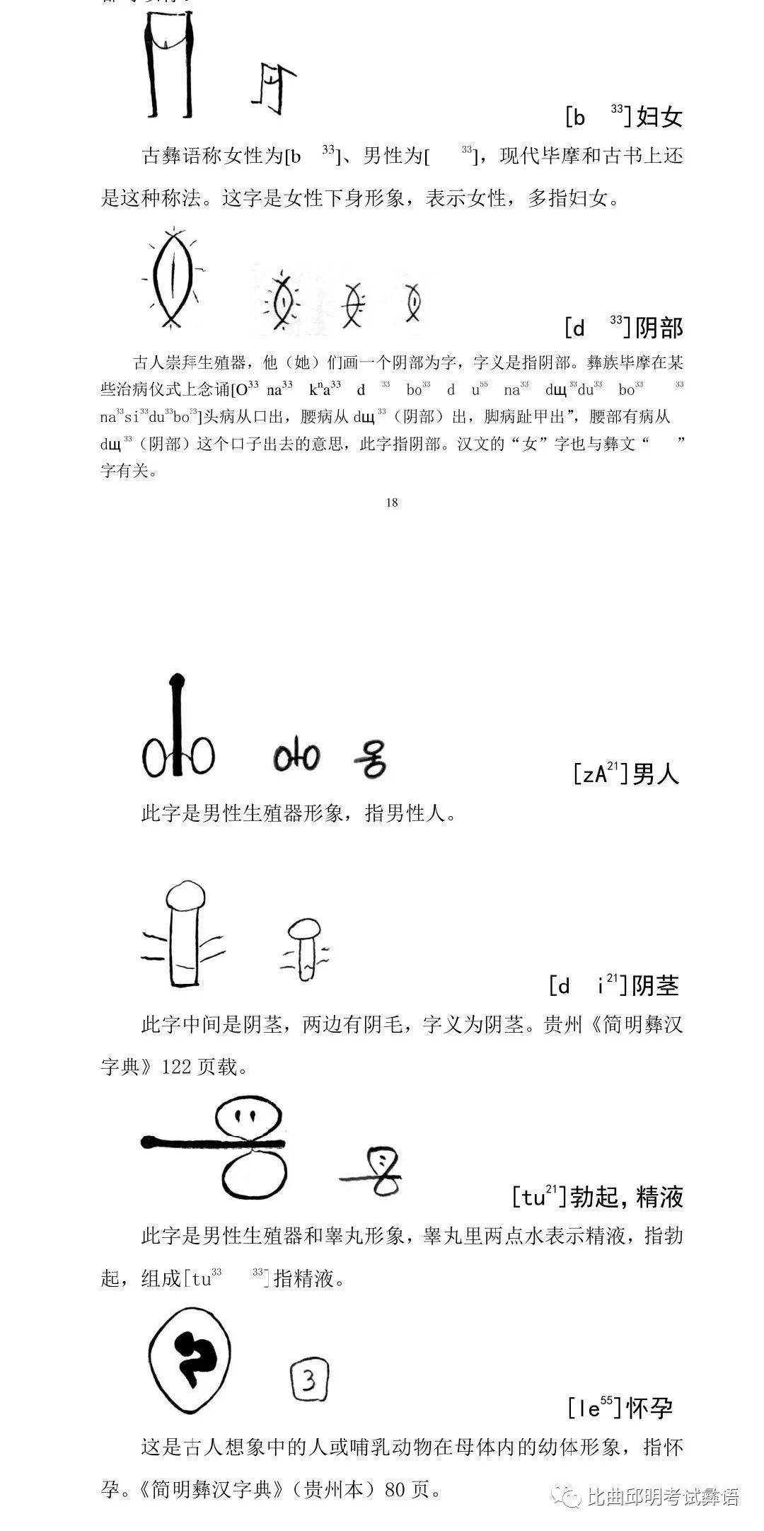 古彝文象形字人体篇会彝语就会读的彝文
