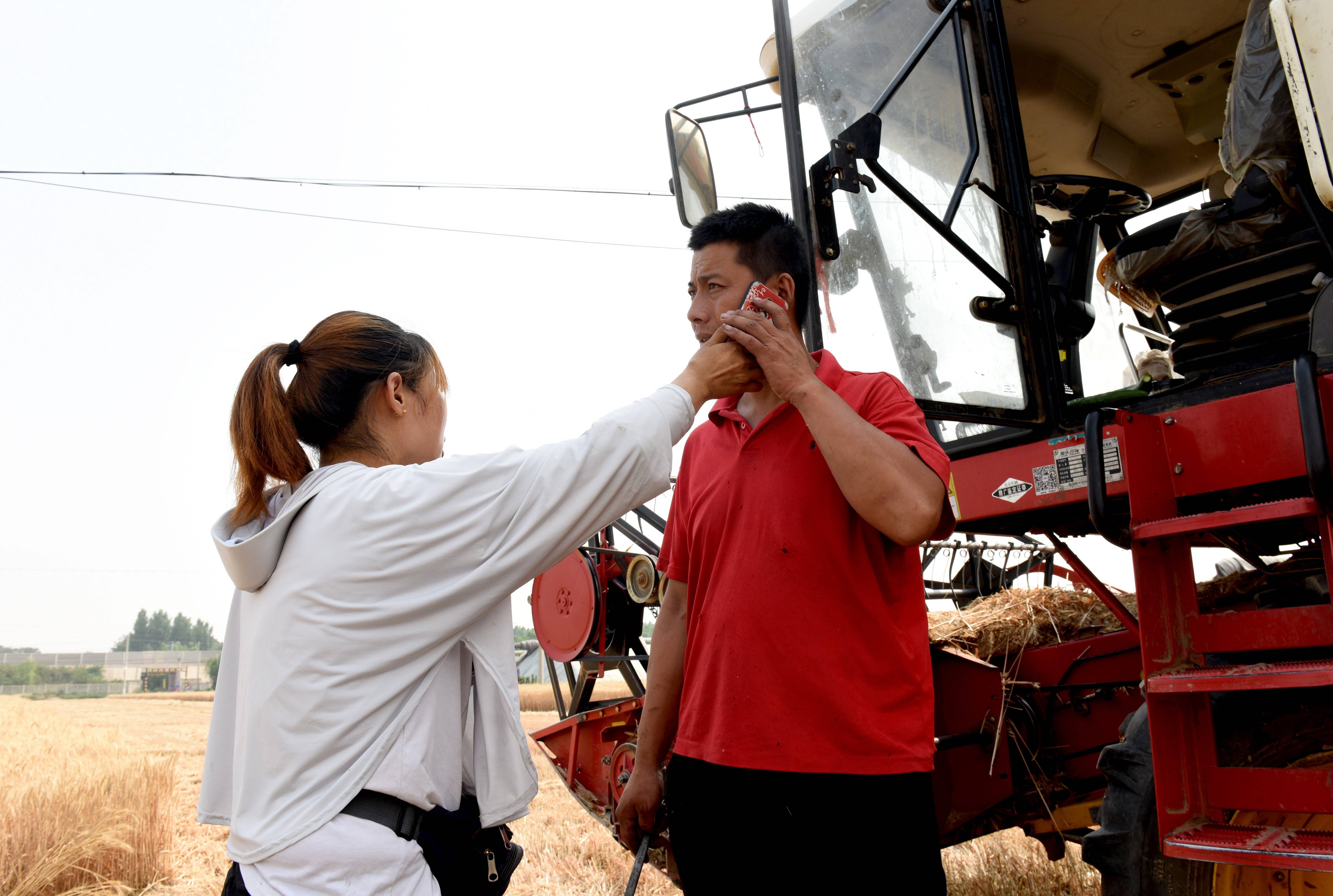 6月10日,在南和县闫里乡杨庄村的一处麦田里,高志勇夫妇联系收割业务.